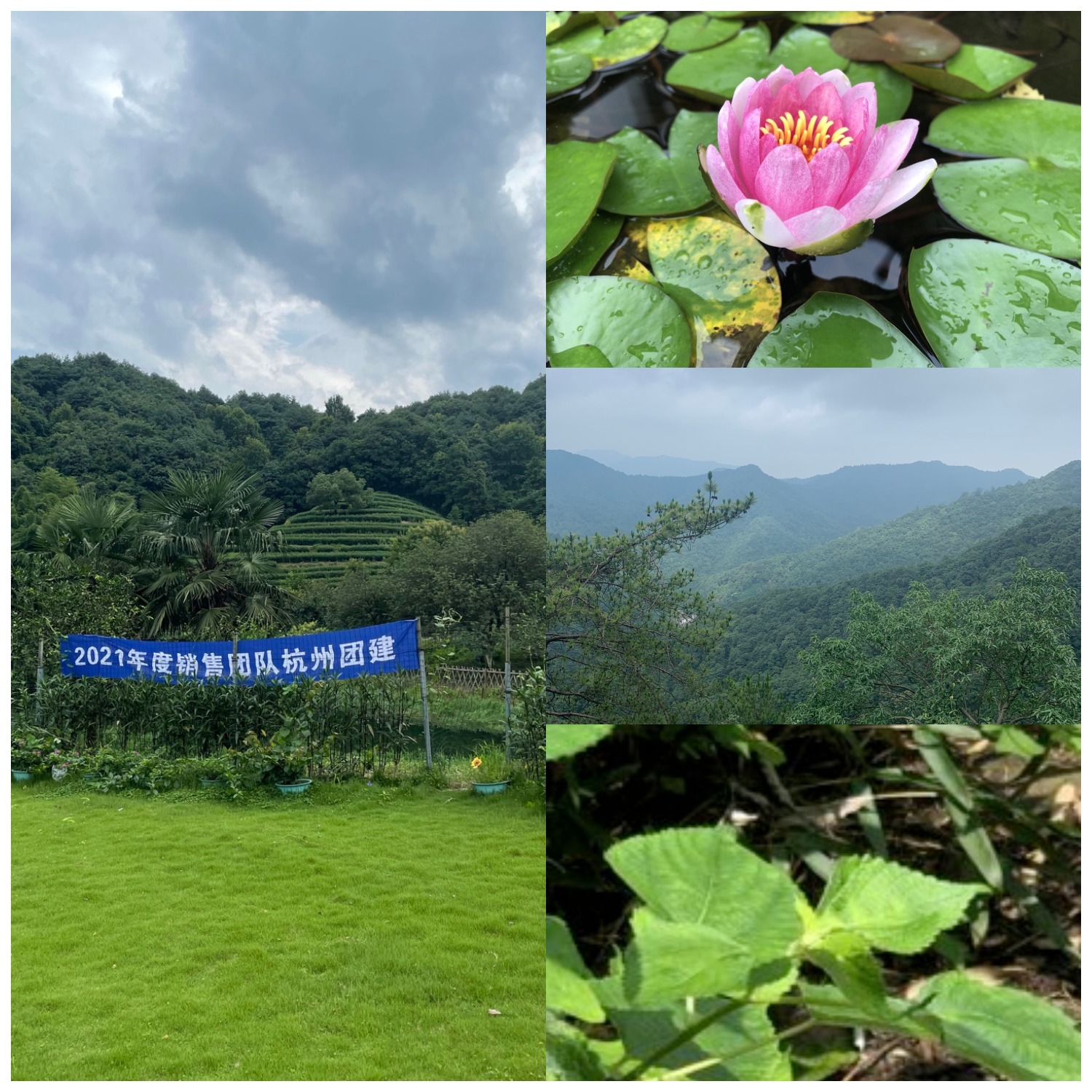 1625559274522498.png WPS圖片拼圖.png